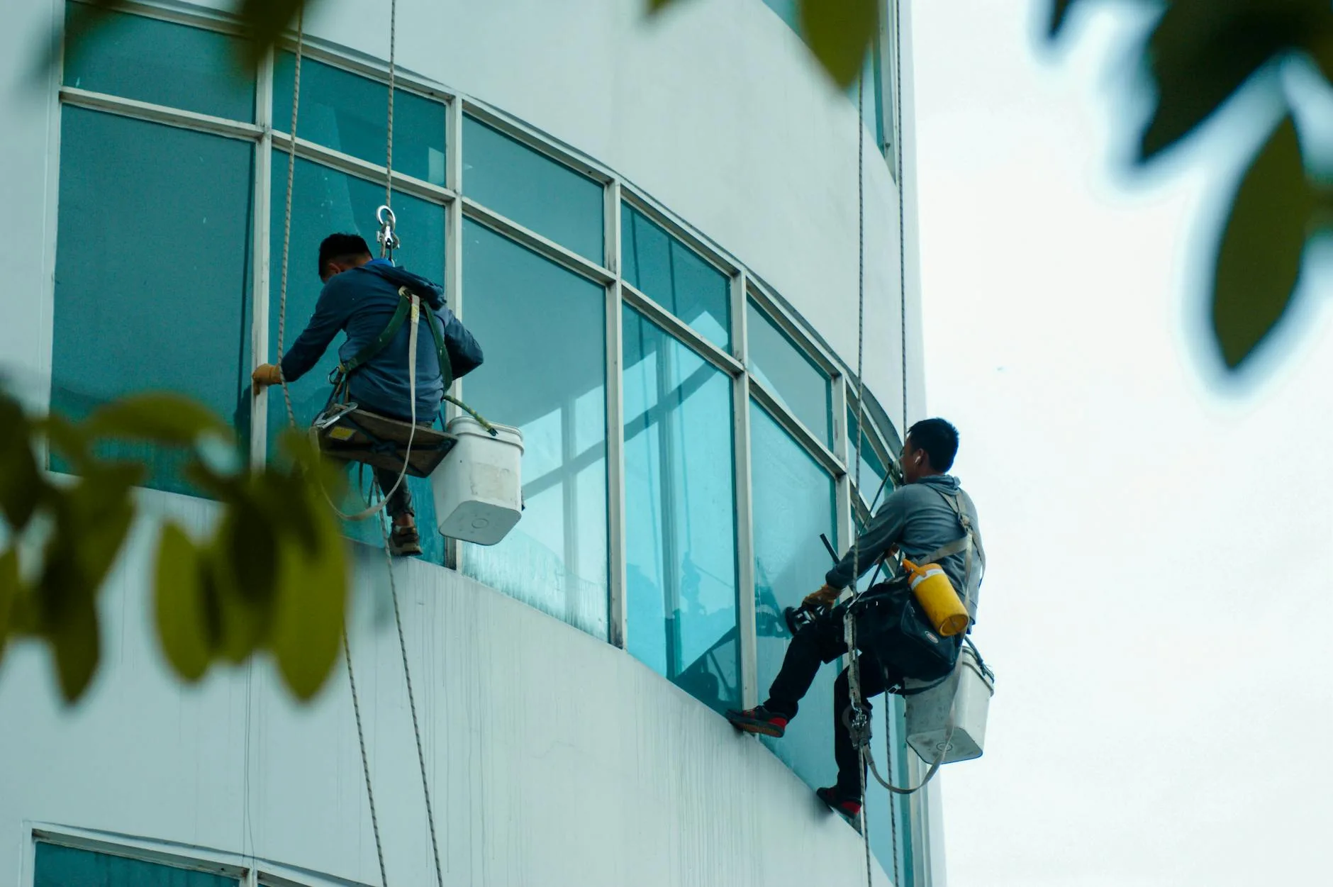 Professional cleaner at work